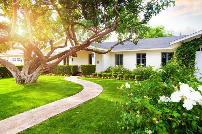 Why You Might Not Be Allowed to Remove a Dead Tree on Your Property